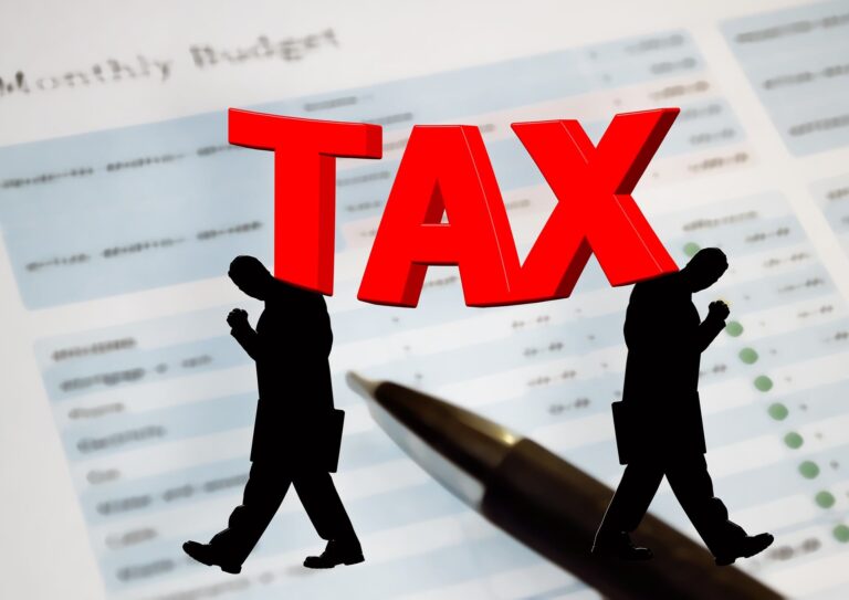 New French Tax System